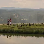 Vila Folwark Wrzosowka *