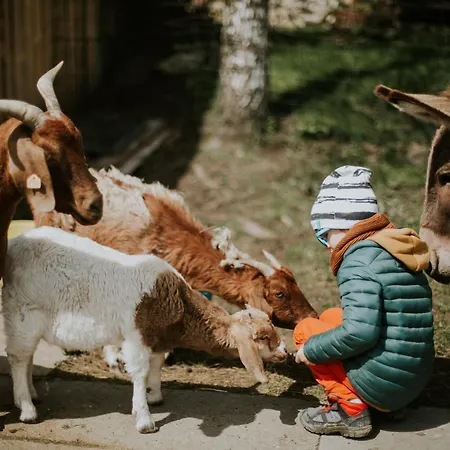 빌라 Folwark Wrzosowka Klopotnica