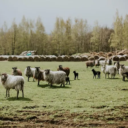 Folwark Wrzosowka * Kłopotnica