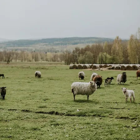 Folwark Wrzosowka Villa Kłopotnica