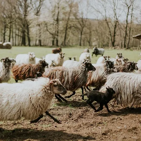 Folwark Wrzosowka Kłopotnica