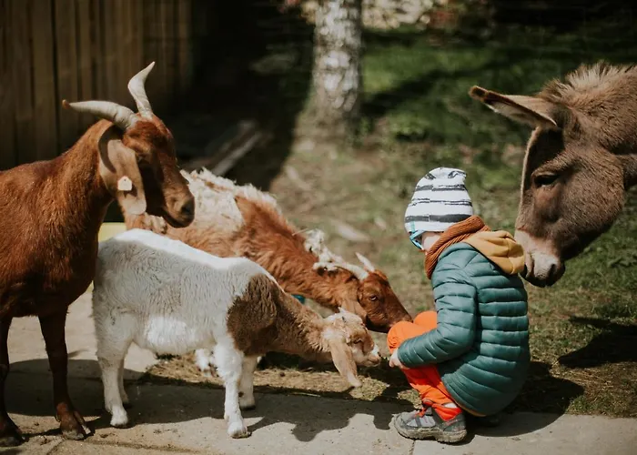 Villa Folwark Wrzosowka Klopotnica