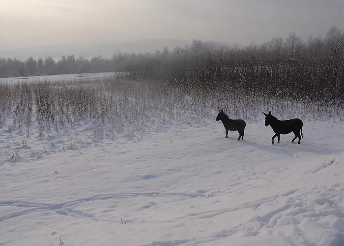 Folwark Wrzosowka Vila