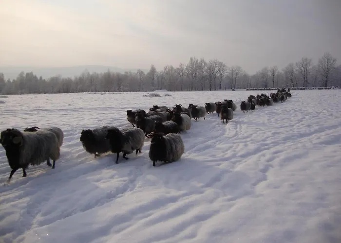 Vila Folwark Wrzosowka *