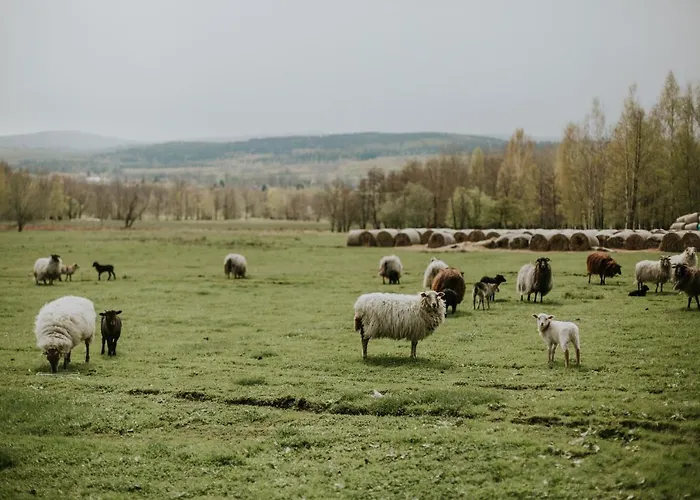 Folwark Wrzosowka Villa Klopotnica