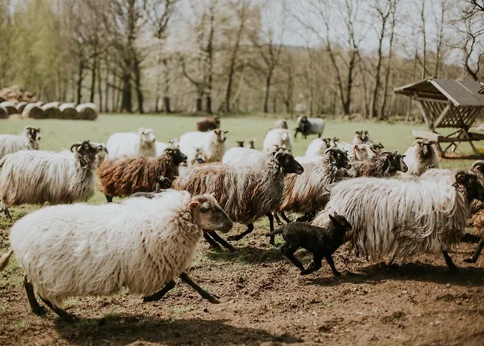 Folwark Wrzosowka Klopotnica