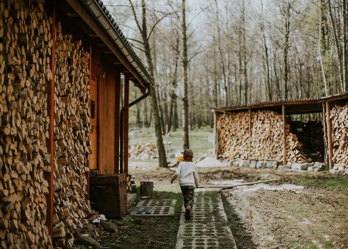 Vila Folwark Wrzosowka *